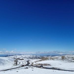 Meet your Posher, Adrian